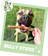 Nature Gnaws Bully Sticks for Dogs 5-6" (8oz) - Long Lasting Natural Beef Chew Bones for Large Dogs
