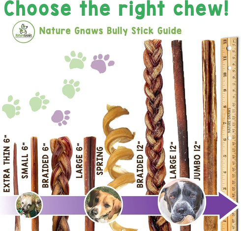 Nature Gnaws Thin Bully Sticks for Dogs 5-6" (1Lb), Mixed Thickness, Long Lasting Natural Thin Beef Chew Bones