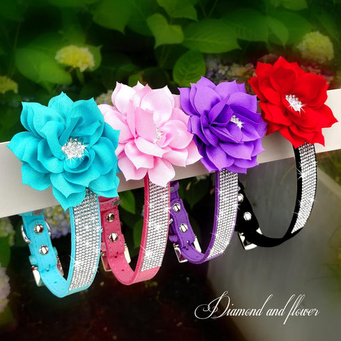 Pet Artist Cute Girl Rhinestone Suede Dog Collar for Small Dogs Cats, Bling Bowtie Collar, XS: Neck 7.5-10" (19-25cm)