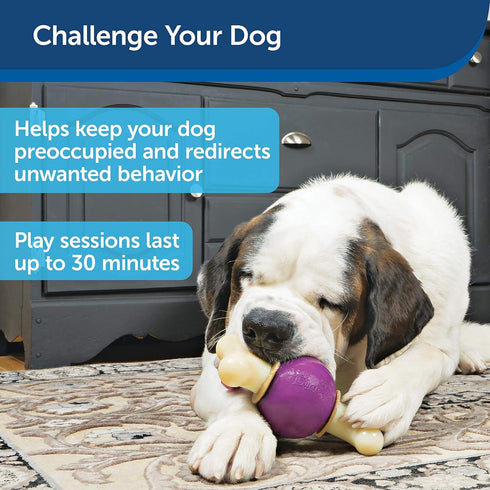 PetSafe Busy Buddy Bouncy Bone Dog Toy - Treat-Holding for Aggressive Chewers, M/L