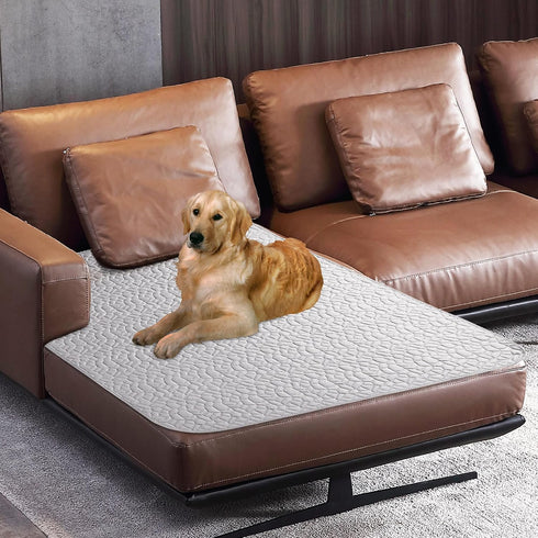 Waterproof Dog Blanket, Washable Anti-Slip Couch Covers for Sofa, Pet Hair Resistant, 40x50, Lightgrey