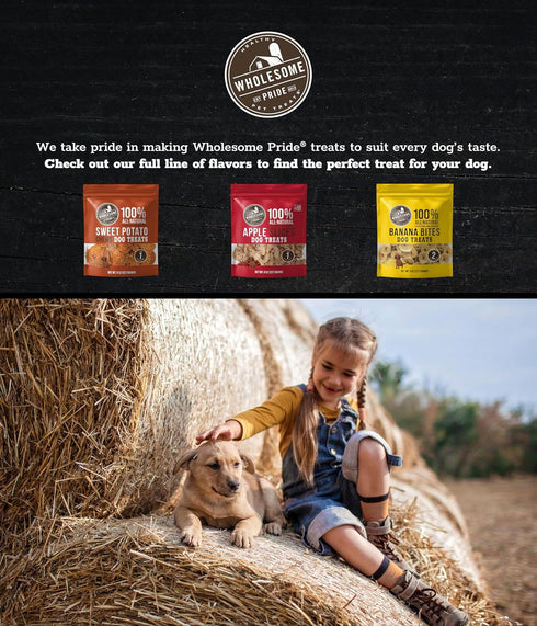 Wholesome Pride 100% All-Natural Sweet Potato Bites Dog Treats, 8 oz