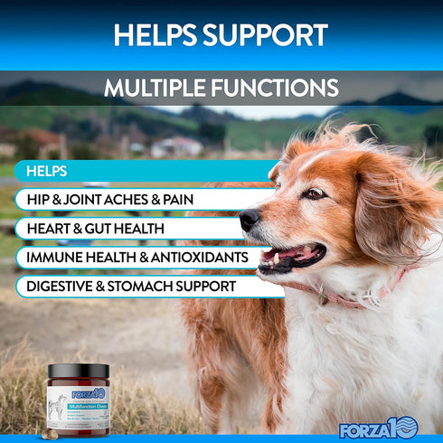 Forza10 Dog Vitamins Supplements, Dog Multivitamin Chews, Pet Vitamins for Dogs, Peanut Butter Flavor Dog Supplement, Multivitamin for Dogs, Senior Dog & Puppy Vitamins, Small to Large Breeds, 90 Ct.