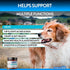 Forza10 Dog Vitamins Supplements, Dog Multivitamin Chews, Pet Vitamins for Dogs, Peanut Butter Flavor Dog Supplement, Multivitamin for Dogs, Senior Dog & Puppy Vitamins, Small to Large Breeds, 90 Ct.