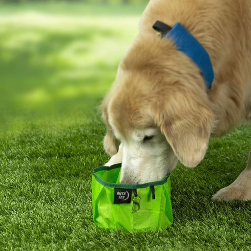 Nite IZE RadDog Lightweight Collapsible Dog Bowl, Food and Water Bowl
