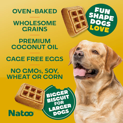NATOO Dog Treats for Large Breed, Crunchy Biscuits with Oats, Banana and Honey, 8oz