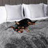 PetAmi Waterproof Dog Blanket for Small Medium Dogs, Calming Fleece Cat Blanket, Couch Protector Washable Sherpa Faux