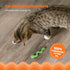 Catnip-Infused Wiggle Worm Dental Chew Toy for Cats