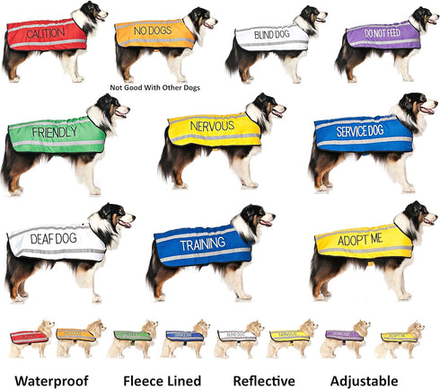 Training Dog Harness (L) - Blue Colour Coded Non-Pull Front and Back D Ring, Padded and Waterproof