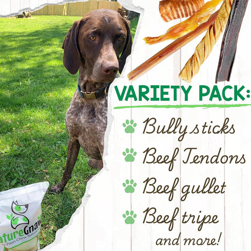 Pack (12 Count) Nature Gnaws Variety for Large Dogs - Bully Sticks, Beef Tendons and Tripe Twists for Dogs - Natural
