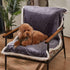 Puppy Blanket, Super Soft Sherpa Dog Blankets and Throws, Cat Fleece Sleeping Mat for Small Animals 45x30 Grey