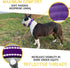 Heavy-Duty Dog Collar with Handle by ADITYNA, Reflective Purple for Large Dogs, Wide, Thick, Tactical, Soft Padded