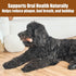 SPOT Bam-Bones Plus Durable Dog Chew Toy for Aggressive Chewers, 9.5in, Beef Flavor, Bamboo Fiber & Nylon