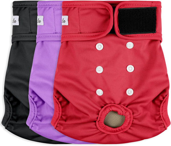 Female Dog Diapers - Reusable Diapers for Doggie in Heat - Highly