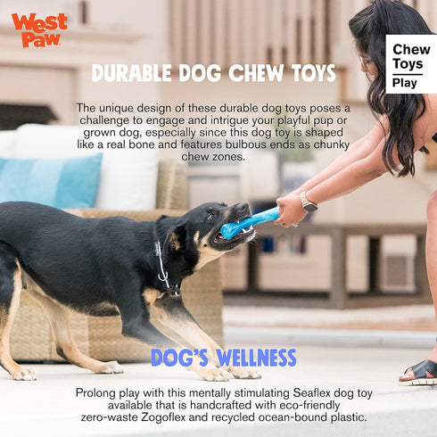 WEST PAW Seaflex Drifty Dog Toy - Eco-Friendly Zogoflex, Machine Washable for Moderate Chewers, 8.5"