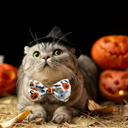 2 Pack Halloween Dog Collar with Bowtie - Holiday Jack-O-Lantern and Pumpkin Collar for Small Medium Large Dogs