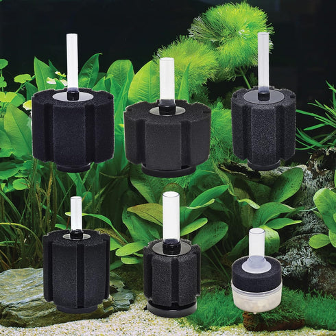 Internal Sponge Filter for Aquariums by Aquatop, for up to 10 Gallon Tanks, CAF-10