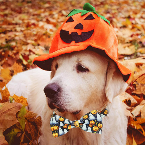 2023 New Halloween Dog Collar with Bow Tie for Boys and Girls, Small Medium Large Pets (Animal Print, Medium)