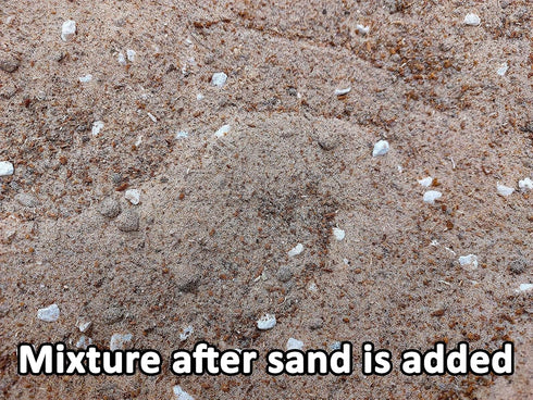 (10 Josh's Frogs Hermit Crab BioBedding Bioactive Substrate Quart (Sand Needed))