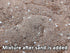 (10 Josh's Frogs Hermit Crab BioBedding Bioactive Substrate Quart (Sand Needed))