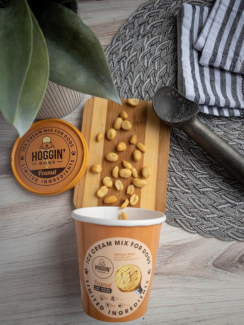 Puppy Cake Hoggin' Dogs Ice Cream Mix, All Natural Peanut Flavor, Just Add Water and Freeze, 4.65 oz