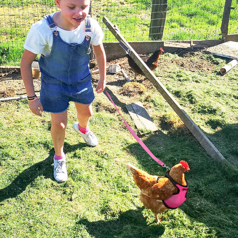 Set Adhafera Chicken Harness with Leash, Upgraded Double Adjustment Chicken Harness and Leash for Hens, Duck, Goose