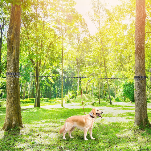 XiaZ 100ft Portable Dog Camping Leash, Overhead Trolley System for Dogs up to 200lbs, Black