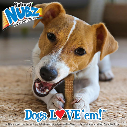 Nylabone Nubz WILD Natural Edible Chew Treats for Dogs, Bison Flavor, Small - Up to 25 lbs. (4 Count)