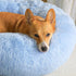 WESTERN HOME WH Calming Dog Bed & Cat Bed, Anti-Anxiety Cozy Soft Round Bed for Small Medium Dogs and Cats