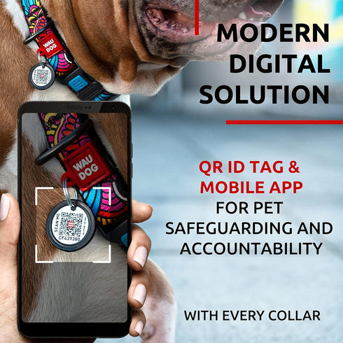 WAUDOG Nylon Dog Collar, Adjustable for Large, Small & Medium Dogs, Breakaway Puppy Collars