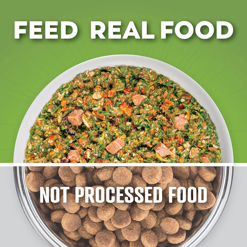 Dr. Harvey's Beef & Garden Veggies Dog Food, Human Grade Whole-Grain Dehydrated Food with Freeze-Dried Beef, 5.5 Ounces