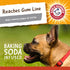 Arm & Hammer for Pets Super Treadz Mini Gorilla Dental Chew Toy for Dogs up to 25 Lbs, Small (1 Count) | Reduces Plaque