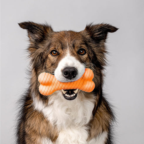 Playology Dog Toys Dual Layer Bone Chew Toy - Durable Rubber for Large Dogs - Cheddar Cheese Scented Orange Toy Bones