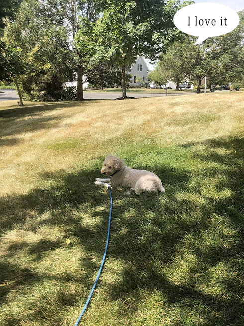 Check Cord Dog Tie Out Long Rope Leash 15FT 20FT 26FT 40FT 60FT 75FT for Dog Training, Obedience, Agility, Camping,
