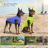 2 Pack Dog Shirts, Quick Dry Breathable Sleeveless Vest, Summer Stretchy Tank Top T-Shirts for Large Dogs (M)