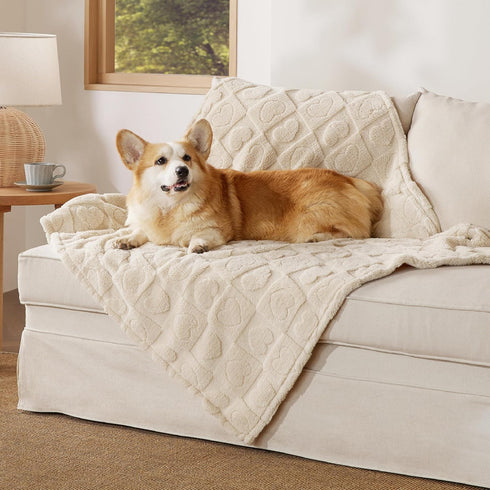 Bedsure Dog Blanket for Large Dogs, Washable Soft Fluffy Puppy Blanket, Cozy Calming Cat Blankets, White, 40x50IN
