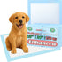 Puppy Training Pads 2336 Medium-Absorbency Disposable Pee Pads for Dogs & Pets