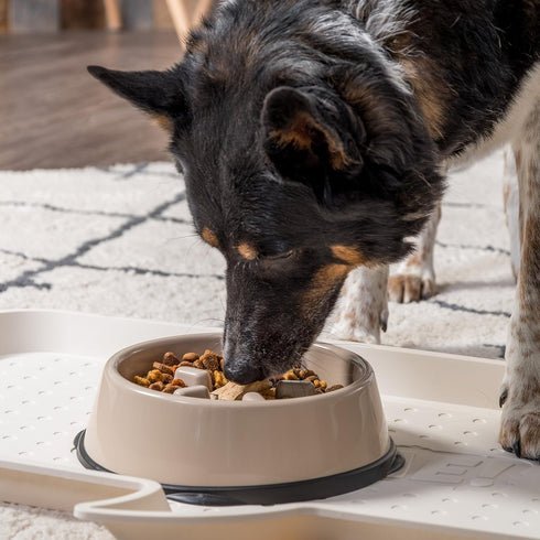 IRIS USA 4 Cups Slow Feeder Dog Bowl - Anti-Choking, Anti-Slip, Easy to Clean, Interactive Puzzle Toy for Healthy