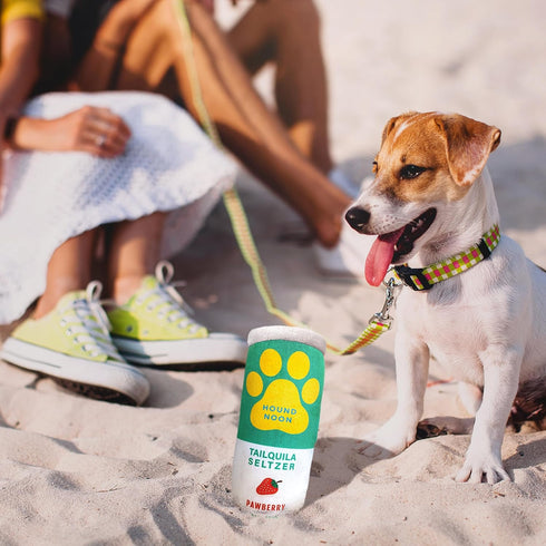 Hound Noon - Two Pack Plush Squeaky Dog Toys, Funny Drink Parody, Cute Dog Birthday Toy, Beer Dog Toy