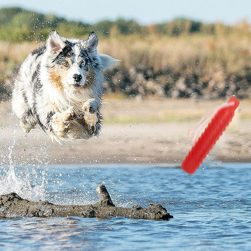 Dog Float Toy - Interactive Training Bumper & Fetching Retrieving Water Toy for Small, Medium, Large Dogs
