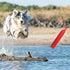 Dog Float Toy - Interactive Training Bumper & Fetching Retrieving Water Toy for Small, Medium, Large Dogs