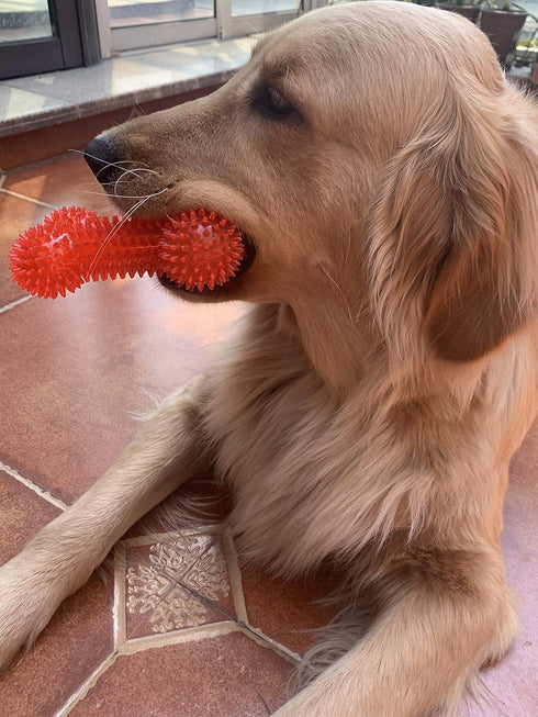 Non-Toxic Dog Squeaky Toys Value Set, TPR Rubber Balls, Spikey Chew Toys for Small Medium Dogs, Puppy Teething Toys