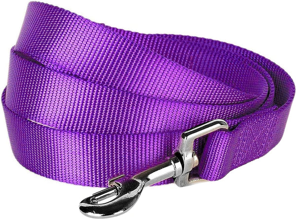 Blueberry Pet Essentials Dark Orchid Dog Leash, 5' x 3/4" for Medium Dogs | Heavy Duty Nylon Lead | Lightweight Leash