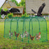 157 31.5 25.5 Inch, Yalikop Large Chicken Tunnel Coop Run, x Easy to Install Green Yard Poultry Tunnel for Outdoor