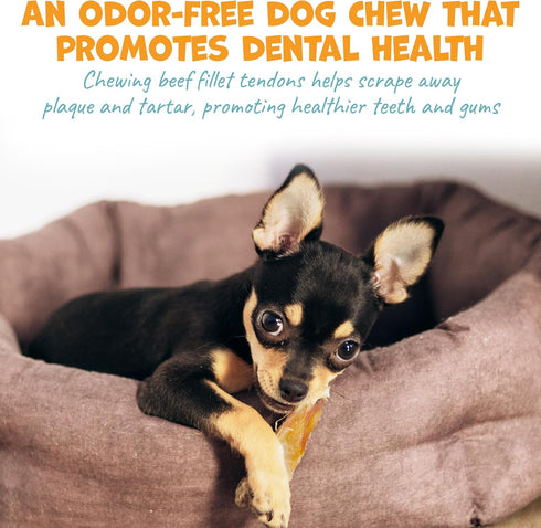Pack 4-6" (12ct) Approved Beef Tendons for Dogs - Single Ingredient Dog Treats & Chews for Small Dogs and Medium Breeds