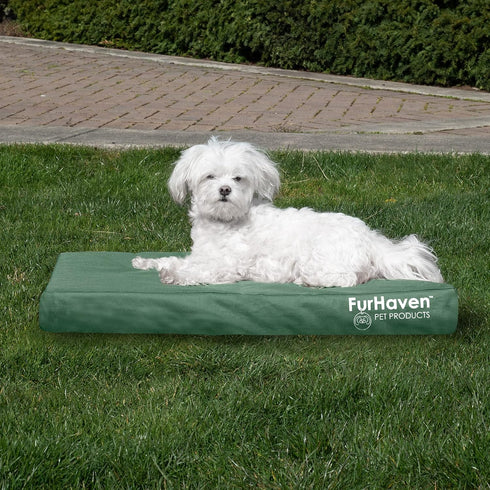 Furhaven Water-Resistant Orthopedic Dog Bed for Medium/Small Dogs, Removable Washable Cover - Forest