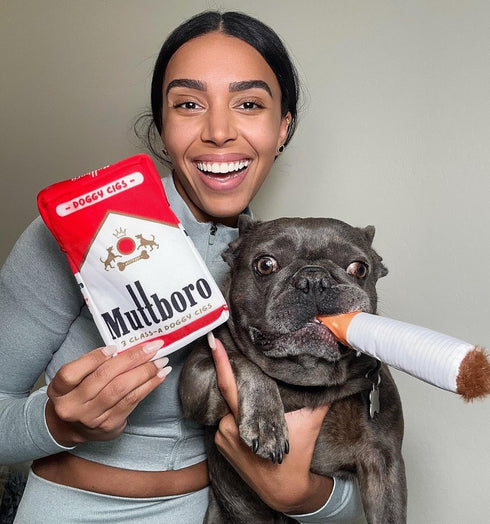 Nestpark Muttboro Doggy Cigs Funny Dog Toys - Parody Plush Squeaky Crinkle Interactive Dog Toy - Hide and Seek Treat