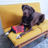 Outward Hound FireHose Fetch Dog Toy, Large Size for Interactive Play