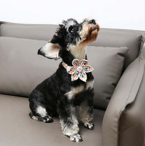 Unique Style Paws Cotton Dog Collar with Bow, Floral Plaid Colorful Design for Small, Medium & Large Dogs