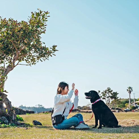 Dog Treat Pouch - Black, 3 Pockets, Waist/Shoulder Wear, Eco-Friendly Material, Poop Bag Dispenser